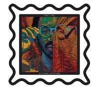 Toro Y Moi - anything in return (10th anniversary edition)