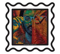 Toro Y Moi Anything in Return (Vinyl LP) 12" Album