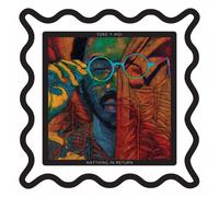 Toro Y Moi Anything in Return (Vinyl LP)