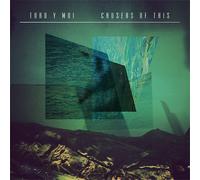 Toro Y Moi Causers of This (CD) Album