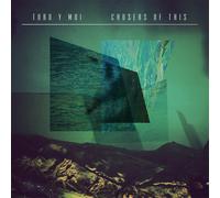 Toro Y Moi Causers of This (Vinyl LP) 12" Album