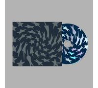 Toro Y Moi Hole Erth Album