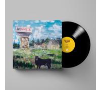 Toro Y Moi Sandhills (Vinyl LP) 12" Album