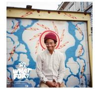 Toro Y Moi What For? (Vinyl LP) 12" Album