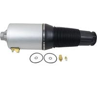 TORPLESS PNEUMATICO ARIA ANTERIORE PER AUDI A8 S8 D3 4E DESTRO o SINISTRO