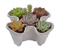 Torre di fragole - Vaso impilabile sicuro, antiscivolo, per piante da giardino e fragole | Vaso da fiori impilabile robusto | Vaso per piante per erbe e interni ed esterni | Uso di