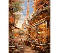 Torre Eiffel Parigi Dipingere con i Numeri per Adulti,con Telaio Kit di pittura su Tela Set di Pittura a Olio Fai da Te con pennelli e Colori Acrilica Paint by Numbers Decora la casa Regalo 50x65 cm