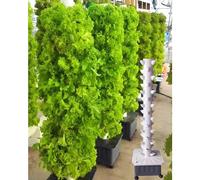 Torre idroponica, Sistema di Coltivazione idroponica da Giardino, Torre Verticale, Set di Torre idroponica da 15 Piani e 45 Fori, Sistema di Coltivazione idroponica Verticale, Sistema di col