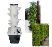 Torre per ortaggi con sistema di coltivazione idroponica per fragole per