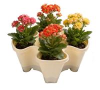 Torre verticale per piante, design impilabile, base antiscivolo, drenaggio sicuro 'acqua, torre per vaso di fragole, per decorazione da giardino, terrazza, balcone, cortile, , casa