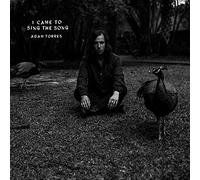 Adam Torres I Came to Sing the Song (Vinyl LP) 7" Single