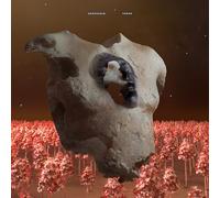 Soap & Skin TORSO (Vinyl LP) 12" Album