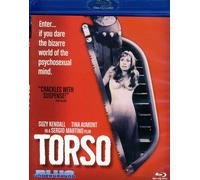 Torso