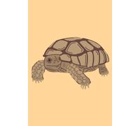 Tortoise Journal - Abstract Cover: Part of the Lizard Collection - Themed for Kids, Teens & Adults - with Lined Pages