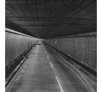 Tortoise - Lazarus Taxon Sampler