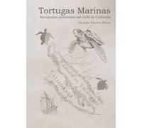 Tortugas marinas: Navegantes ancestrales del golfo de California