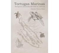 Tortugas marinas: Navegantes ancestrales del golfo de California