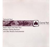 Tortured Soul - How's Your Life? (Part Two)