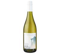 Toscana IGT Bianco Il Castelluccio Tamburini 2023 0,75 ℓ
