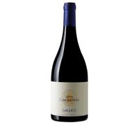 Toscana IGT Petit Verdot Campo al Mare Gallico Ambrogio e Giovanni Folonari 2021, 0,75 ℓ