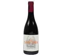 Toscana IGT Pinot Nero Petit Sancaba Tenuta di Trinoro 2024, 0,75 ℓ