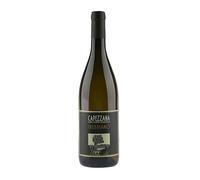 Toscana IGT Trebbiano Capezzana Contini Bonacossi 2015
