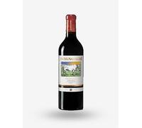 TOSCANA ROSSO IGT MERLOT 2021 DESIDERIO AVIGNONESI 0,750