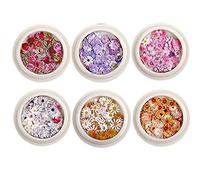 TOSSPER 6box Nail Real Set Flower Set Mini Natural Real Dry Flowers Applique per Nail Art Decorazione 'unghia Adesivo