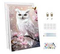 TOSTOG Dipingere con i Numeri Adulti con Cornice Gufo Dipingi con i Numeri per Adulti Paint by Numbers Kit per Principianti Decora la casa Regalo (20×30cm)