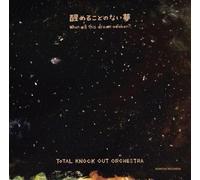 Total Knock Out Orchestra When will this dream awaken? (CD)