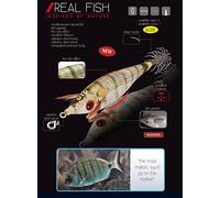 Totanara DTD real fish bukva 2.0 mackerel sgombro PESCA CALAMARO FLUORESCENTE DOPPIO CESTELLO