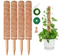 Totem di Cocco Bastone per Piante da 4x40cm Allungabili Altezza 124cm Bastoncino