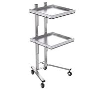 TOTIKI Estetista Carrello per Attrezzi con Ruote, per da Bellezza, Vassoio Portaoggetti A 2 Livelli, per Salone di, Parrucchiere Carrello(Blue,Silver)