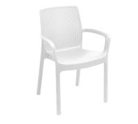 Totò Piccinni Sedia REGINA in polipropilene poltrona con braccioli in Simil Rattan effetto realistco, impilabile MADE IN ITALY (1, Bianco, con Braccioli)