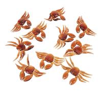 Totority 10 Pezzi Esche Artificiali Granchio Realistiche Morbide per Pesca in Acqua Ferma, Esca Finta Portatile Compatta Colore Marrone, Accessorio Pesca per Laghi Fiumi Torrenti