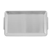 Totority Piatto Barbecue in Acciaio Inox Fondo Piatto, Argento