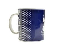 Tottenham Hotspur FC Fade Crest Tazza (BS4024)