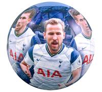 Tottenham Hotspur FC Pallone (TA8476)