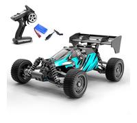 TOUCAN RC HOBBY 16202Pro 1/16 RWD veicolo fuoristrada radiocomandato SCY 35A ESC resistente agli spruzzi d'acqua 17G Servo elettrico Multi-Terrain RC Modellino auto LED per hobby