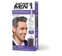 Just For Men JUST FOR MEN trattamento colorante touch of gray castano