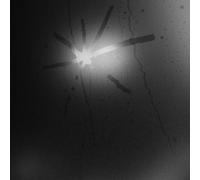 Touché Amoré Spiral in a Straight Line (Vinyl LP) 12" Album