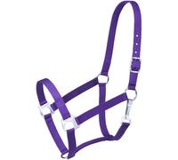 Tough 1 Cavezza Economy, Viola, Cavallo