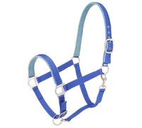 Tough 1 - Cavezza Imbottita in Nylon con Elementi in Metallo Satinato, Blu Reale, Cavallo