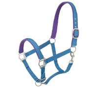 Tough 1 - Cavezza Imbottita in Nylon con Elementi in Metallo Satinato, Turchese, Pony