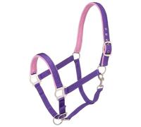 Tough 1 - Cavezza Imbottita in Nylon con Elementi in Metallo Satinato, Viola, Cavallo