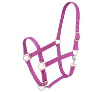 Tough 1 Nylon Halter con Raso Hardware, Purple