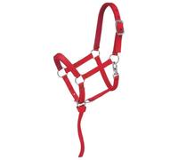 Tough 1 Nylon Imbottita in Miniatura Halter, Red