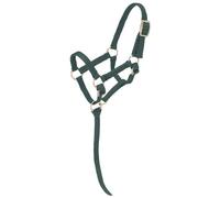 Tough 1 tough-1 miniature nylon Halter, Hunter Green