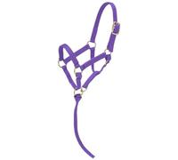 Tough 1 tough-1 miniature nylon Halter, Purple, L Mini