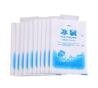TOUISEDGI Gel Packs, 10 Pezzi Bellissimi E Pratici Impacchi di Ghiaccio Riutilizzabili Sacchetti di Raffreddamento in Gel Per Alimenti Vegetali Vino Uso Medico Industriale(400ml)